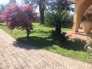 Villa bifamiliare con ampio giardino : bifamiliare In affitto  Lido di Camaiore
